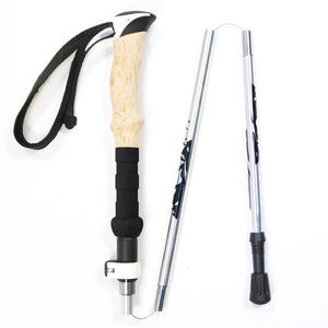 Bâtons de marche, bâtons de Trekking nordiques, bâtons télescopiques, bâtons de Trekking avec pointes - Product Image 5