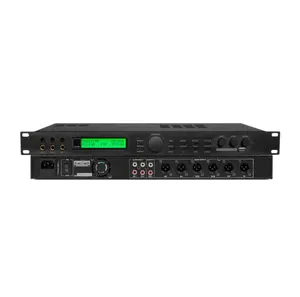 Audio DSP System Karaoke digital processor 2 input 5.1 output channel audio MP3 USB mixer audio equipment