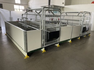 Plastique semer ou de porc - Product Image 4