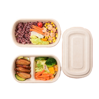 100% Biologisch Afbreekbaar Wegwerp Bagasse Pulp Afhaalmaaltijd Doos 850Ml 1000Ml 2 Compartiment Natuurlijke/Witte Voedselcontainer Met Deksel