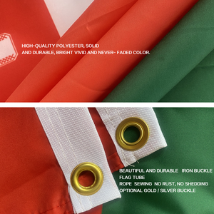 Chất lượng cao 12x18 labrys cửa sổ xe lesbian niềm tự hào kỹ thuật số in đồ họa làm bằng nhựa bền cho các sự kiện thể thao yêu nước - Product Image 5