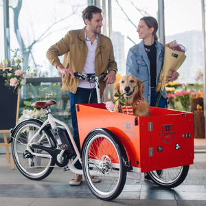 Porte avant ouverte <span class=keywords><strong>pour</strong></span> prendre le <span class=keywords><strong>chien</strong></span> vélo à trois roues vélo <span class=keywords><strong>cargo</strong></span> électrique moteur 250W vélo <span class=keywords><strong>cargo</strong></span> électrique - Product Image 1