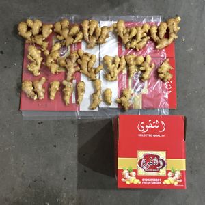 Высококачественный свежий имбирь новый урожай оптом от китайского поставщика высококачественный экспортный продукт - Product Image 4