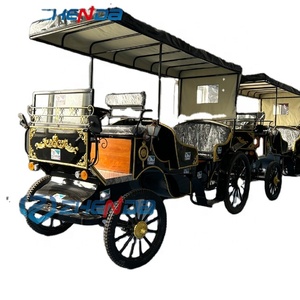 Factory Price Outdoor Leisure Sightseeing Pumpkin Carriage/Wedding Horse Carriage/Electric Horseless Sightseeing Carriage - Product Image 1