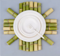 Sac en fibre de bagasse de canne à sucre biodégradable Eco Earth, 100 % écologique, personnalisable, jetable, vente en gros pour usines