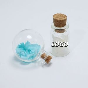 Colgante <span class=keywords><strong>de</strong></span> <span class=keywords><strong>Bola</strong></span> <span class=keywords><strong>de</strong></span> Cristal Hecho a Mano DIY, Colgante para Coche, Colgante <span class=keywords><strong>de</strong></span> Perfume para Coche, Botella <span class=keywords><strong>de</strong></span> Aromaterapia, Fragancia para Coche, Precio <span class=keywords><strong>de</strong></span> Fábrica al por Mayor - Product Image 1
