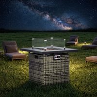 Table de chauffage au gaz portable en acier moderne pour le camping, le chauffage extérieur et les fêtes