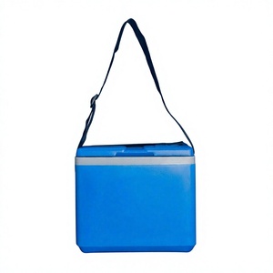 Mochila Nevera Termoeléctrica Moderna, Portátil, Aislada, Impermeable, Reutilizable, de Poliéster, Apta para Alimentos, 12L - Product Image 1