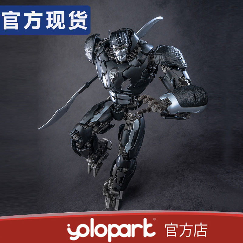 Amk capitaine orang-outan