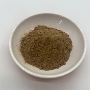 Polvo de Extracto de Hongo Chanterelle (Cantarina) al por Mayor, Polisacárido al 50% - Product Image 2