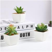Plantes décoratives artificielles pour mur et plafond, design moderne et écologique, pour décorations de Noël et de maison, et pour la photographie