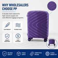 Valise cabine rigide PP 20 pouces violette conforme REACH avec poignée latérale – Assortiment de détail pour fournisseurs
