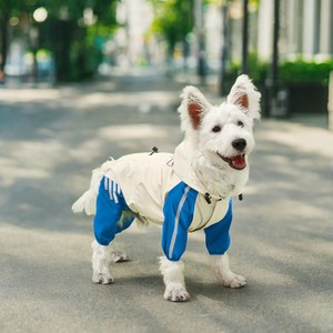 Imperméable personnalisé de style sport pour animaux de compagnie en S-XL tailles pour les saisons d'hiver et de printemps en polyester mignon pour petits animaux - Product Image 6
