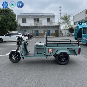 Tricycle électrique de transport de marchandises, tricycle électrique convertible à trois roues, tricycle de transport urbain à carrosserie ouverte, tricycle de loisirs - Product Image 1