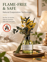 Diffuseur de parfum d'ambiance de luxe OEM avec fleurs séchées, écologique et à combustion longue durée