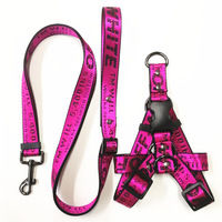 2022 côtières en gros dropshipping chiot En Nylon Doux Entraînement À La Marche designer blanc pet collier de chien et laisse harnais ensemble