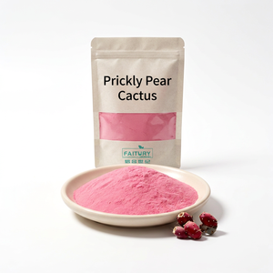 Estratto di Frutto di Fico d'India (Opuntia Ficus-indica) di Alta Qualità 20:1 - Product Image 2