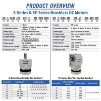 Moteur BLDC de type S 220 V CA, 30 W, 3000 tr/min, couple élevé, haute vitesse, moteur à engrenages CC sans balais, ODM personnalisé pour machine textile