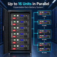 Batterie LiFePO4 51,2V 100Ah 5,12kWh à montage en rack avec BMS 100A CAN RS485 Bluetooth pour stockage d'énergie solaire