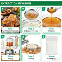 Compléments de fibres alimentaires Gomme arabique d'acacia Seyal – Additif alimentaire E414 en promotion