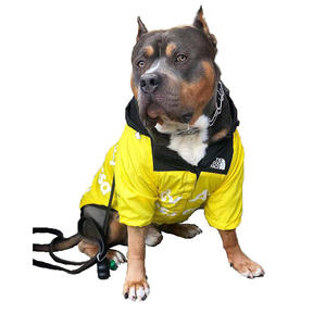 dog accessory for $1000