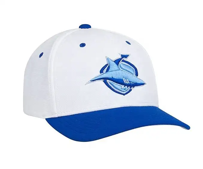 Wholesale boys cap and hat Custom Design 6-Panel Mens Baseball Cap Fashionable Sport Caps embroidery Baseball Hats