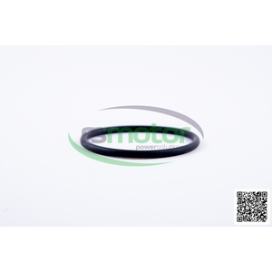 Juego de juntas y piezas de motor de junta tórica Jenbacher - Product Image 4