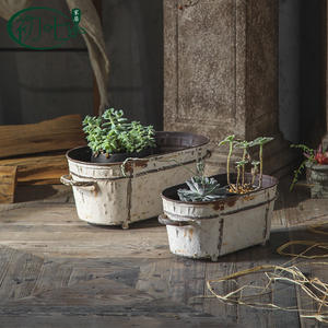 Ensemble de pots à fleurs en fer vieilli pour la décoration de la maison et du jardin, style européen, avec plantes succulentes - Product Image 1