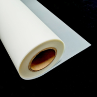 Films DTF PET de qualité supérieure certifiés GRS OEKO, rouleaux de 30 cm à 60 cm, film DTF pour l'impression sur tissu, t-shirt, sac, chaussure, tissu