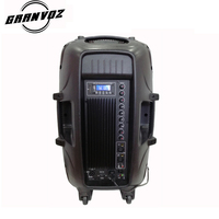 Altavoz Activo Amplificado PAPJ-15ALP de 15 Pulgadas con Asa y Ruedas, Gran Venta