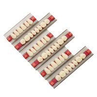 Weller 3 jeux de fausses dents en résine acrylique pour prothèses dentaires
