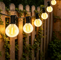 Guirlandes lumineuses LED G40 de 25 pieds, 50 pieds, 65 pieds, connectables, étanches, pour extérieur, avec prise US/EU