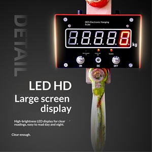 Báscula Digital Inalámbrica para Grúa de 5t, 10t, 20t OCS para Uso Industrial Pesado, Báscula Colgante Remota con Pantalla LCD, OEM/ODM - Product Image 5