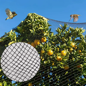 <span class=keywords><strong>Filet</strong></span> de <span class=keywords><strong>protection</strong></span> anti-oiseaux <span class=keywords><strong>pour</strong></span> jardin agricole en HDPE noir traité anti-UV, <span class=keywords><strong>filet</strong></span> de <span class=keywords><strong>protection</strong></span> <span class=keywords><strong>pour</strong></span> <span class=keywords><strong>piscine</strong></span> et étang, <span class=keywords><strong>filet</strong></span> sans nœuds anti-oiseaux - Product Image 1