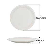 Assiettes jetables compostables en papier de 9 pouces, biodégradables en bagasse de canne à sucre, pour fêtes, certifiées BPI