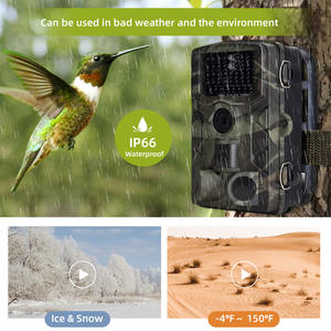 กล้องซันเทค 24MP 1080P กล้องติดตามสัตว์ป่ากลางคืน กล้องกันน้ำสำหรับกิจกรรมกลางแจ้ง กล้องดักถ่ายภาพ HC-808A - Product Image 6