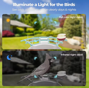 Mangeoire à oiseaux intelligente automatique pour jardin extérieur avec caméra HD, application WiFi, mode privé ouvert OEM, écologique, pour oiseaux d'amour - Product Image 6