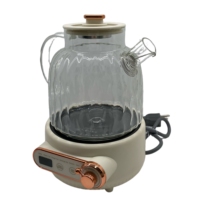 Bouilloire électrique multifonction 1L 450W avec contrôle de la température |   Bouilloire en verre pour faire bouillir, faire mijoter, infuser du thé aux fleurs, du gingembre, du ginseng