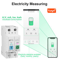 Nouveau modèle TUYA 1-63A 2P Interrupteur intelligent WIFI avec compteur d'énergie, disjoncteur, protection contre les surtensions, les surintensités et les fuites, relais de coupure L+N