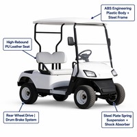 Voiturette de golf électrique 2 places OEM, moteur AC 3KW, batterie colloïdale sans entretien 100Ah, châssis en acier, vitesse 30-50km/h, longue autonomie