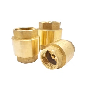 Válvula de Retención Vertical de Latón con Resorte, Manual, para Bombas con Conexiones BSP/NPT, Tamaño de Puerto de 1/2"-2" para Gas y Agua - Product Image 3