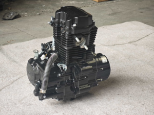 Bajaj Factory Direct 200cc Auto Rickshaw ROPS Frame Low Fuel 4 Stroke Digital CDI + Electric Start Engine Kit Air Cooling System - Product Image 5