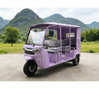 Meilleur prix pour tricycle électrique à deux rangées, E-Trike Bajaj, véhicule à trois roues alimenté par batterie