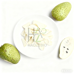 Soursop lyophilisé de qualité supérieure 100% naturel Sans additifs Saveur riche Soursop lyophilisé ou en-cas pour la cuisson - Product Image 1