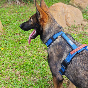Poignée rembourrée contrôle tactique chien harnais <span class=keywords><strong>berger</strong></span> allemand grande taille chien gilet pour la formation marche randonnée chasse - Product Image 6