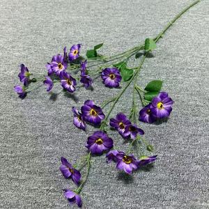Fiori Conservati di Alta Qualità, Pansé Eterne, Fiori Secchi a Forma di Farfalla per Decorazioni per Feste - Product Image 6