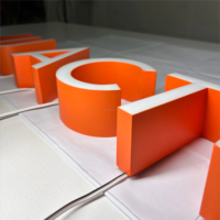 Lettres en résine époxy LED lumineuses et étanches, personnalisables en 3D, haute luminosité, durabilité, couleurs variées pour entreprises et parcs