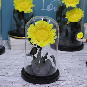 Dôme en verre avec tournesol préservé et base noire, fleur éternelle à tige entière, cadeau pour anniversaire, remise de diplôme, nouvelle maison - Product Image 3