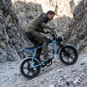 Vélo électrique à 7 vitesses avec pneus de 4 pouces, vélo électrique pour voyages en camping-car et en tout-terrain - Product Image 3