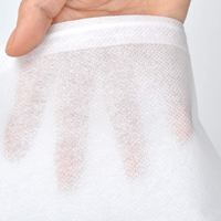 Couverture anti-gel en tissu non tissé pour l'agriculture, couverture de sol, tissu de jardin, couverture anti-gel pour plantes